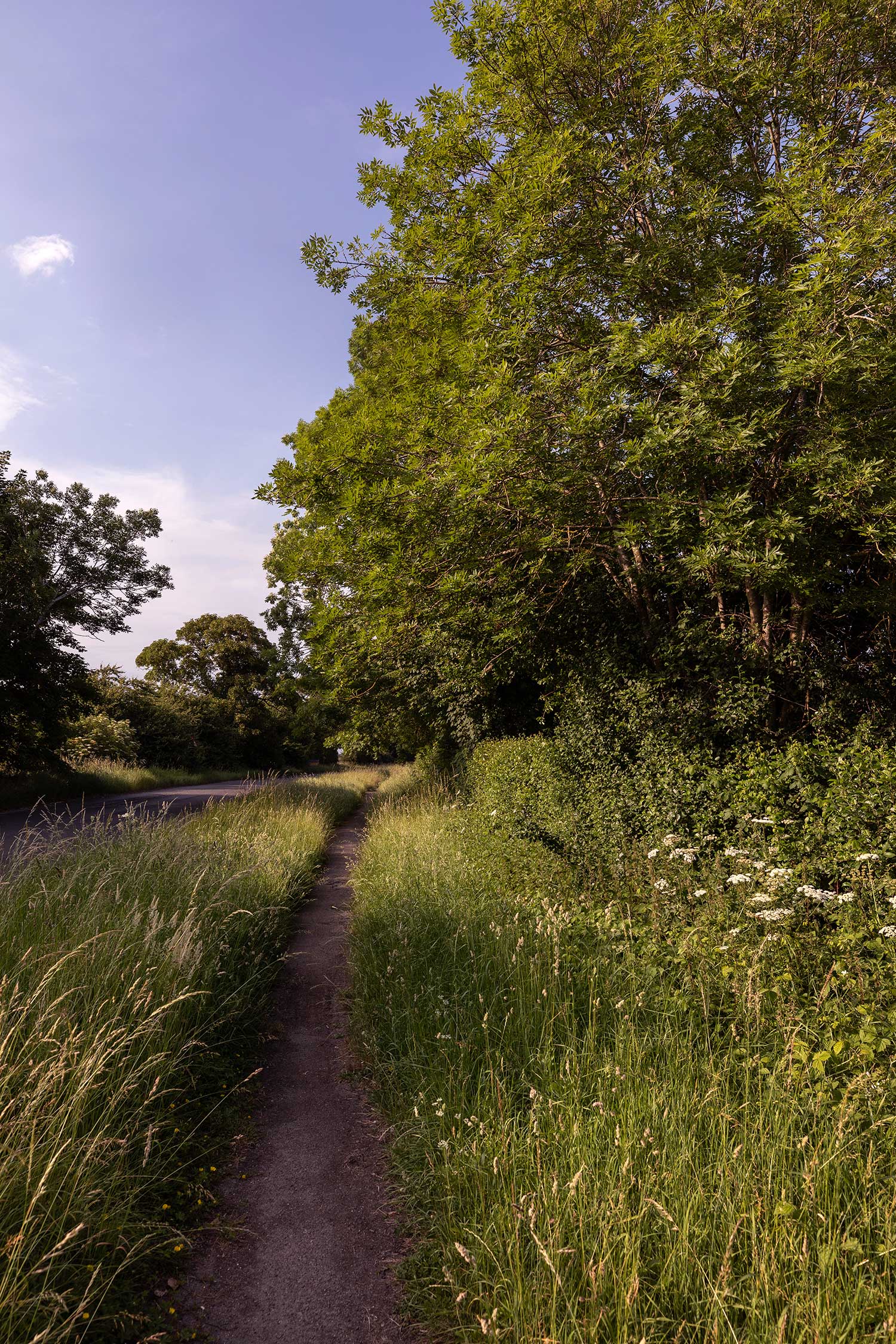 Mere way landscape