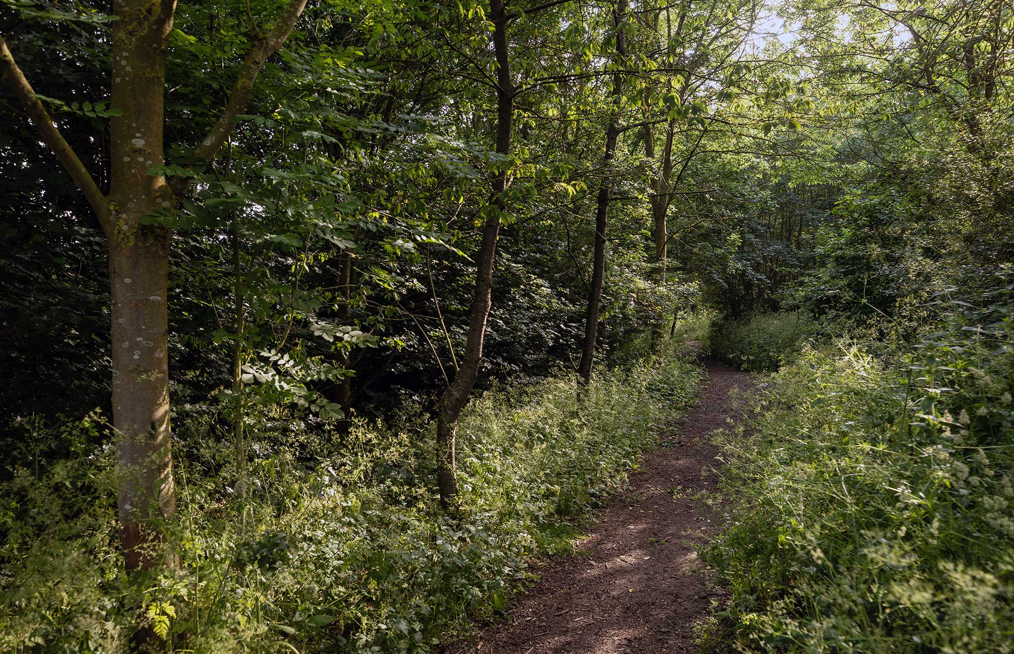 Featured image for “Plans shared for new connection between Waterbeach Barracks and Cambridge Science Park – along the historic Mere Way”