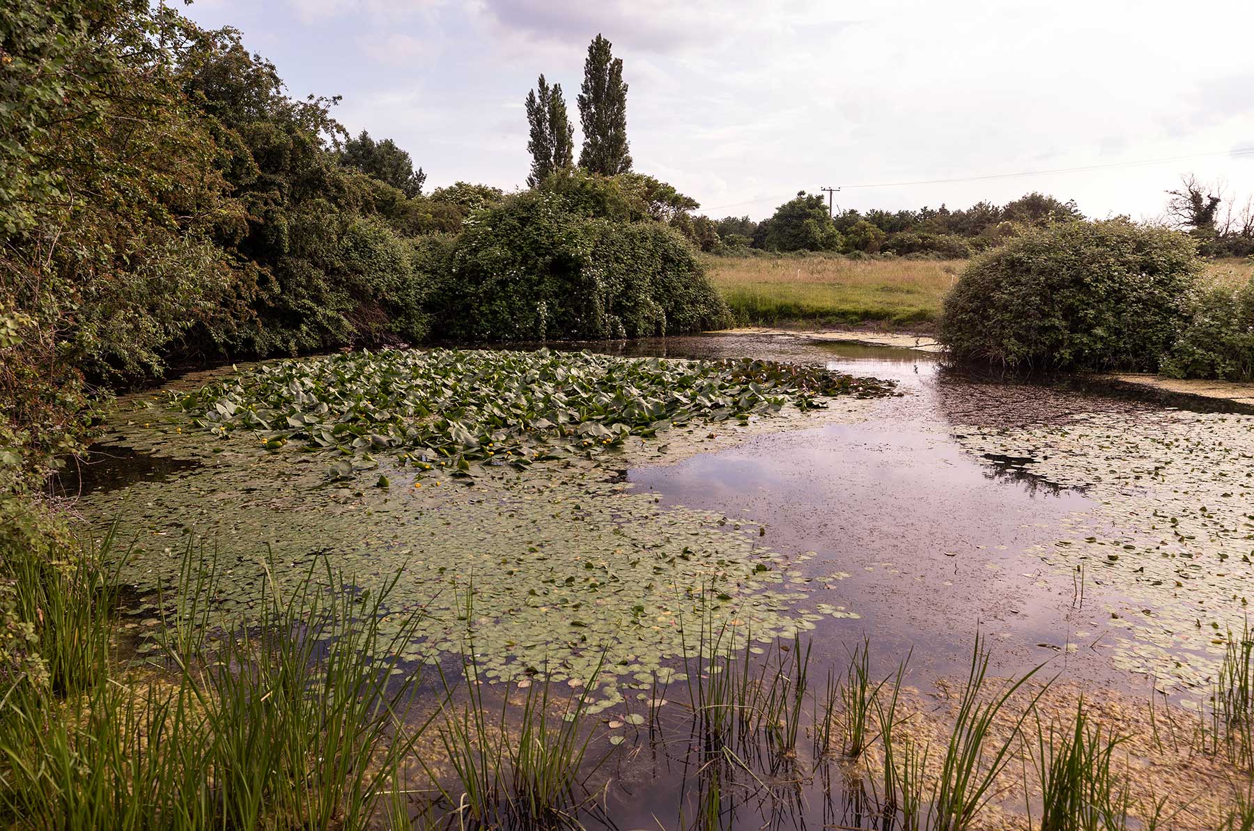 Pond on mere way route