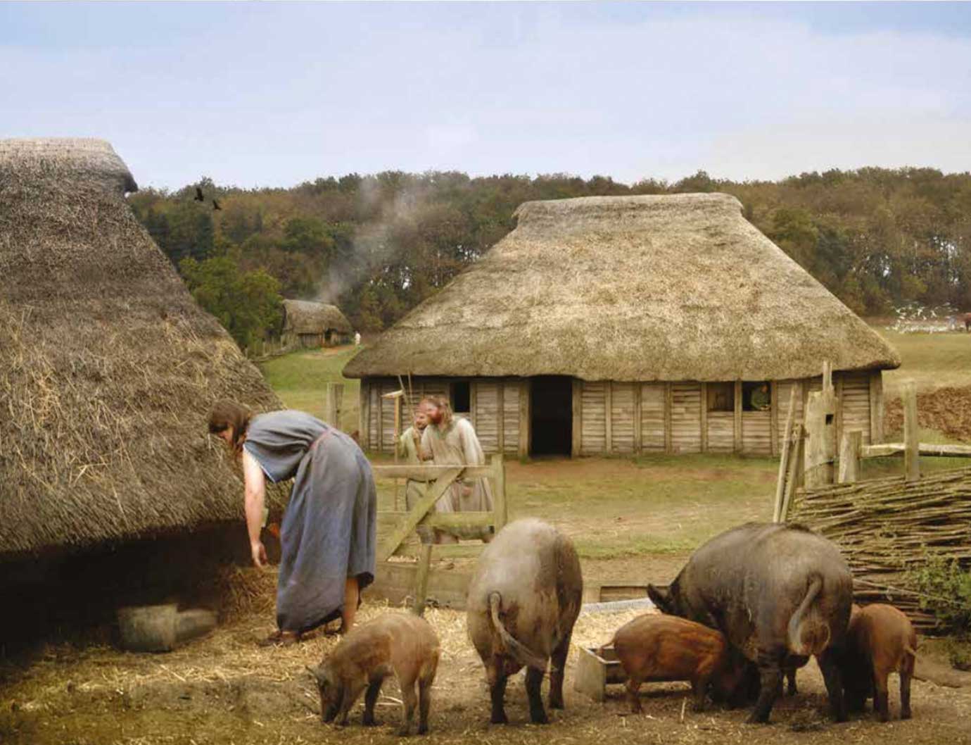 anglo saxon settlement