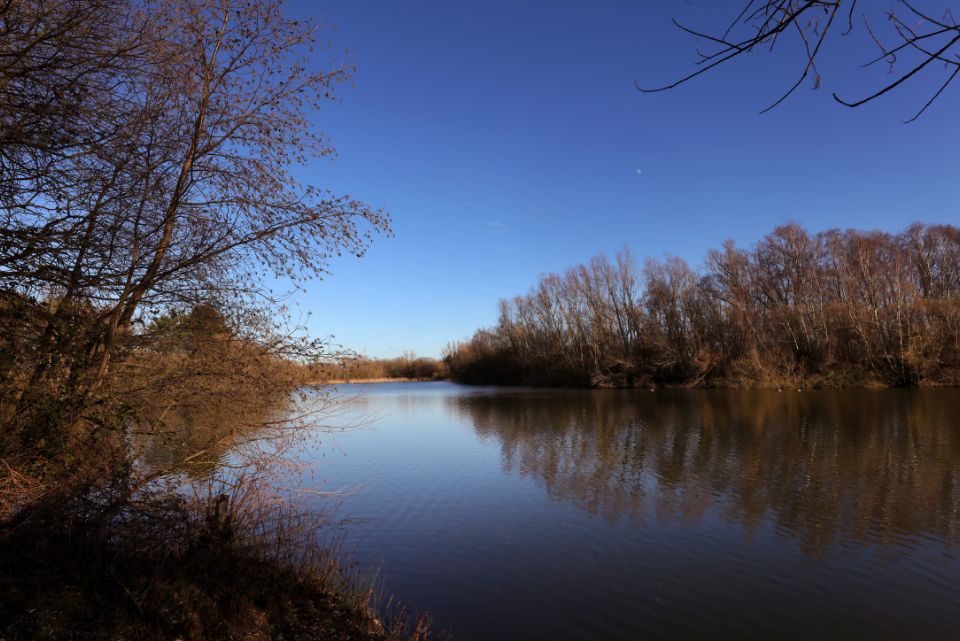 lake with trees reflecting