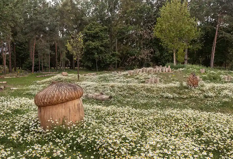 Imaginative play area in the woodland