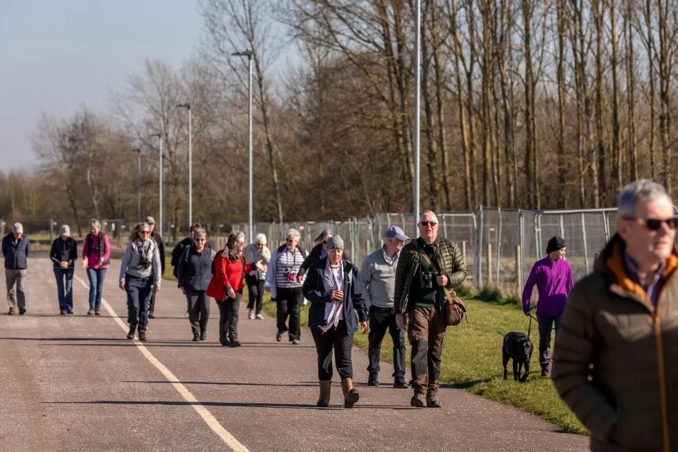 Featured image for “Wellness Walk”